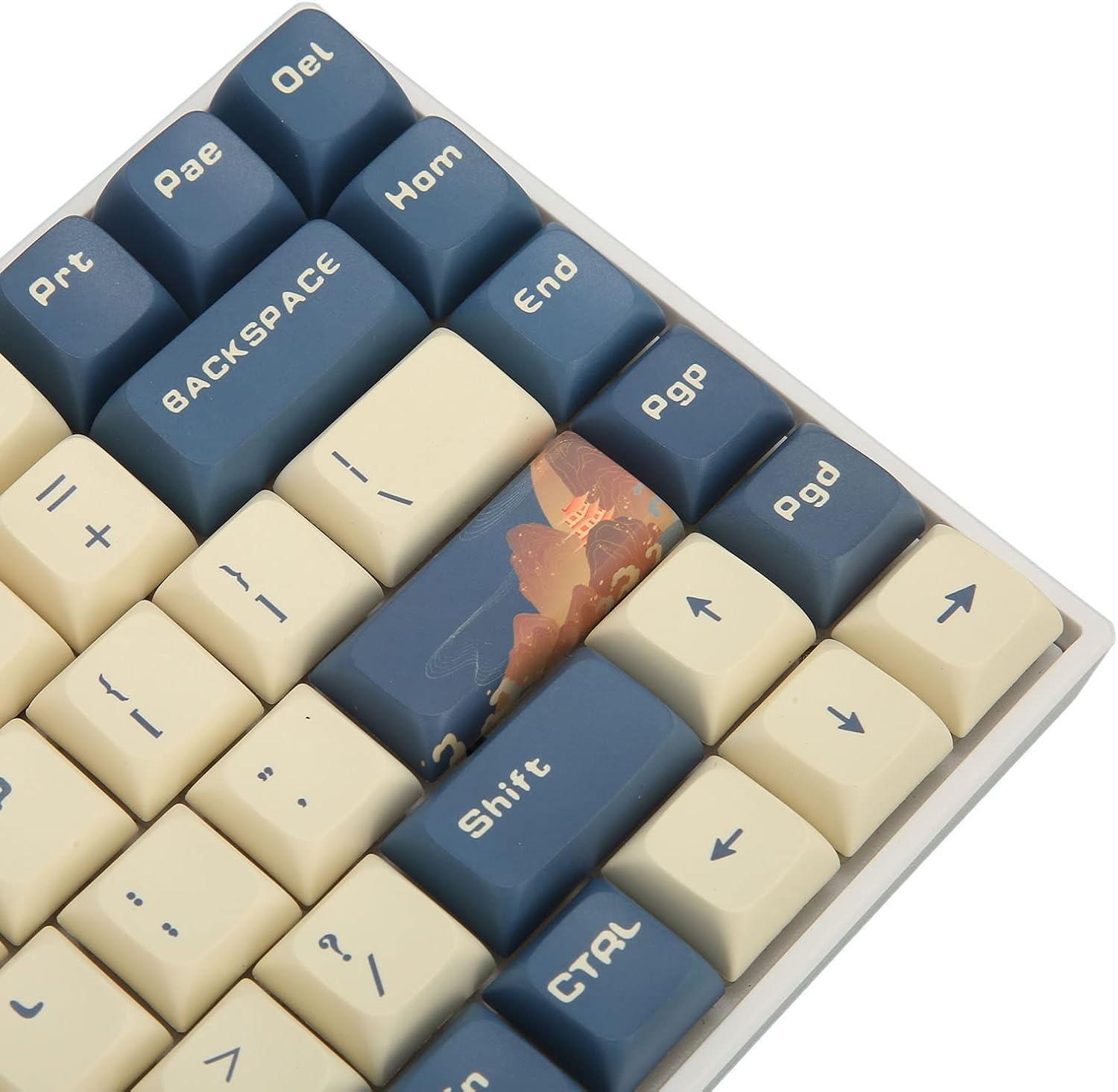 TENP 84 Key Mechanical Keyboard, Blue White Mountain Bird RGB Backlit Wireless Gaming Keyboard For Laptop Computer (Silver Switch)