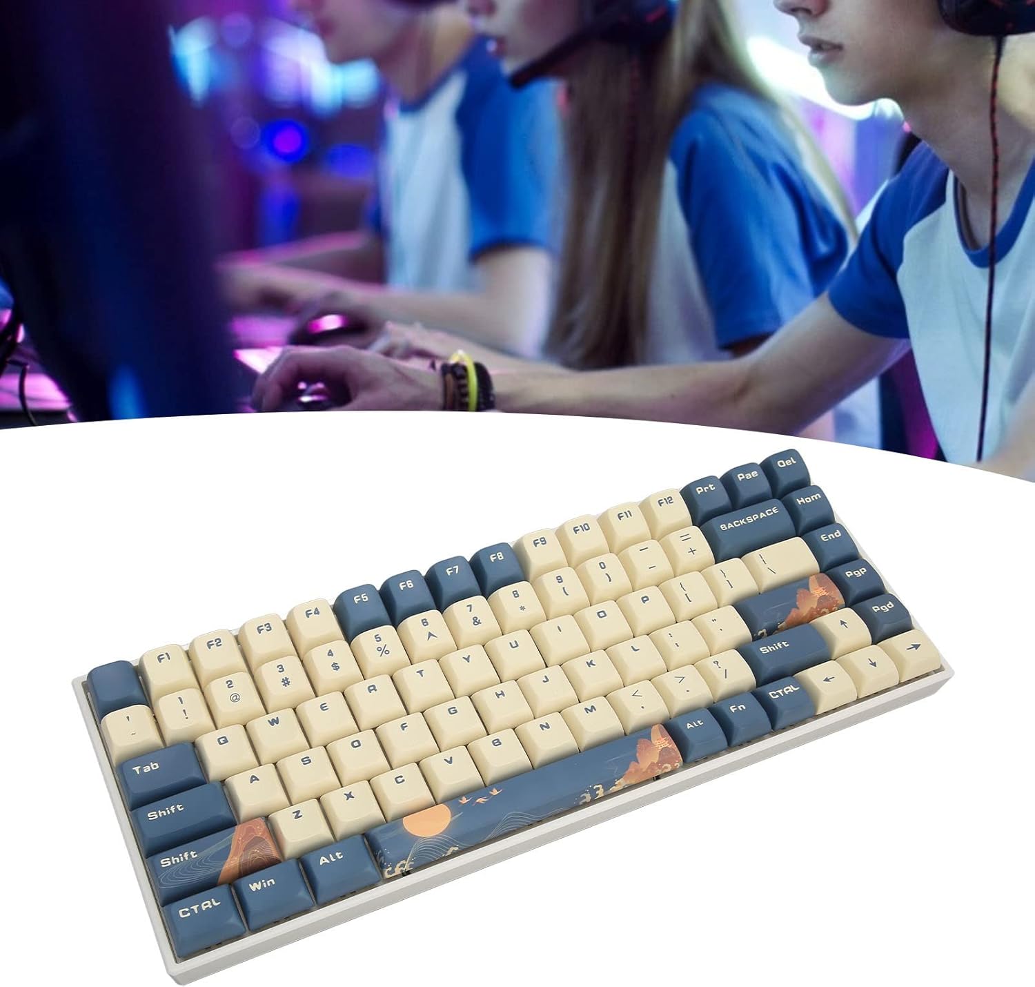 TENP 84 Key Mechanical Keyboard, Blue White Mountain Bird RGB Backlit Wireless Gaming Keyboard For Laptop Computer (Silver Switch)