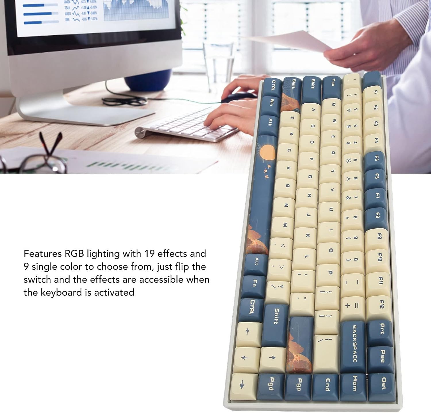TENP 84 Key Mechanical Keyboard, Blue White Mountain Bird RGB Backlit Wireless Gaming Keyboard For Laptop Computer (Silver Switch)