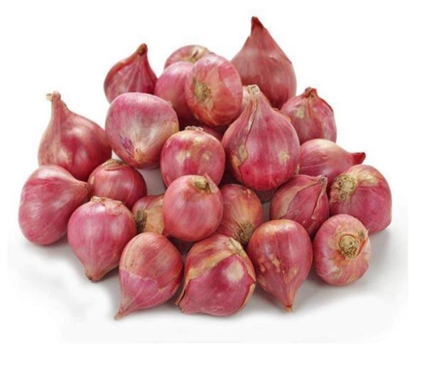 香蕉形状葱头  BANANA  Shallots  YANGC 