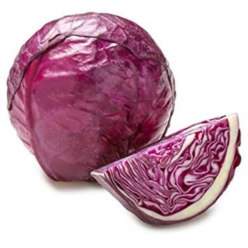 小包红椰菜 CABBAGE-RED HongYC