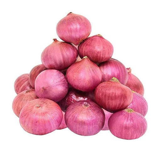红洋葱 RED ONION YangC