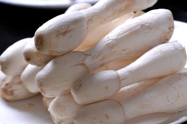 单包真空装鸡腿菇 Retail Mushroom-king Oyster 1x200G vacuum pack  HaoG