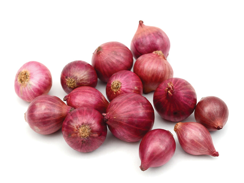 泰国小红葱头 THAI RED SMALL  SHALLOTS  YangC