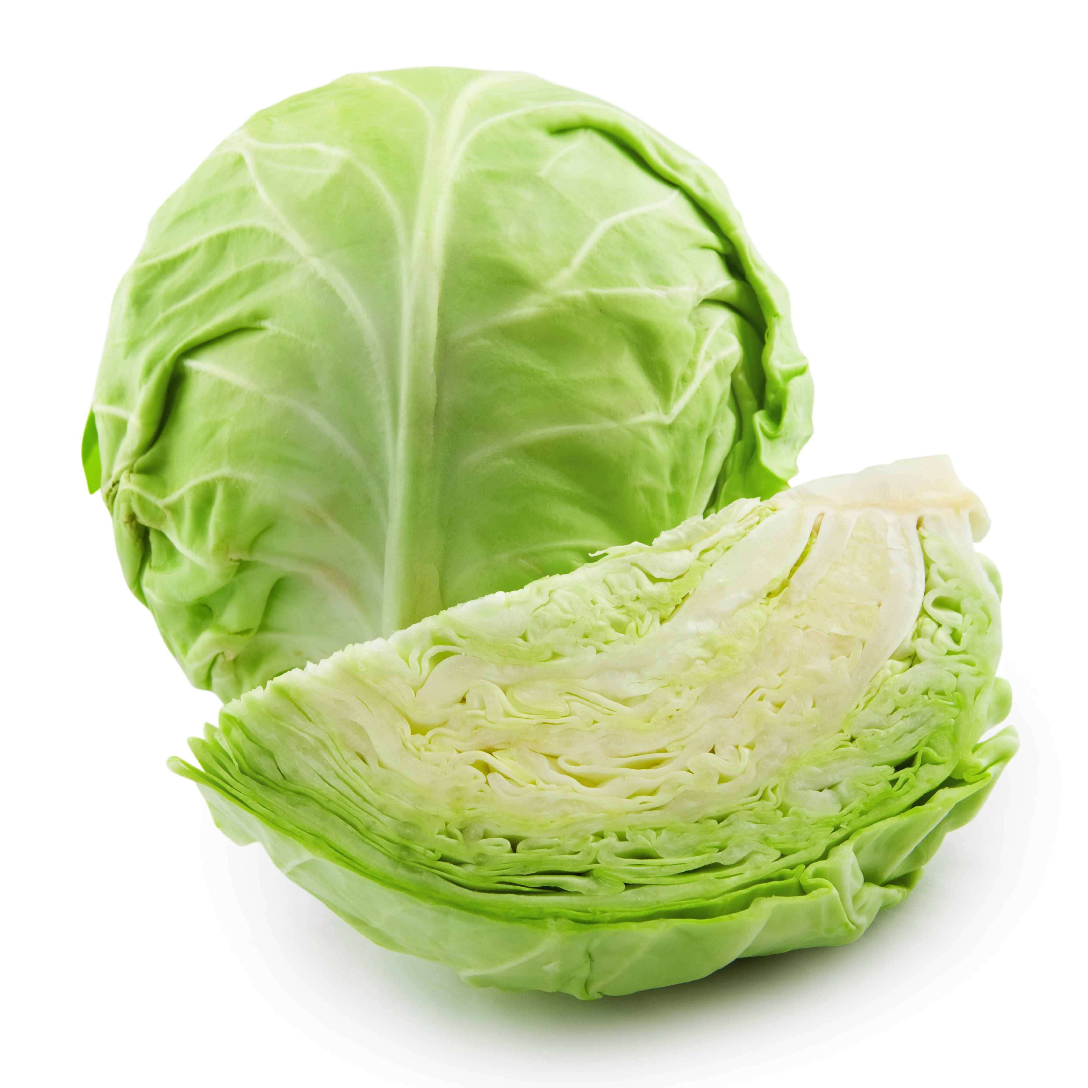 绿野菜 GREEN CABBAGE YC