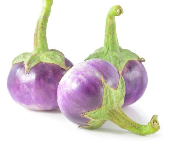 泰国小茄子 Aubergine-pea  1.5KG JieZ XXX