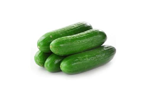 迷你青瓜 MINI CUCUMBER QingG