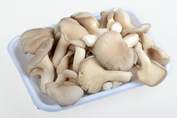 单盒蚝菇 Retail OYSTER MUSHROOM P/P -1X340GM  HaoG