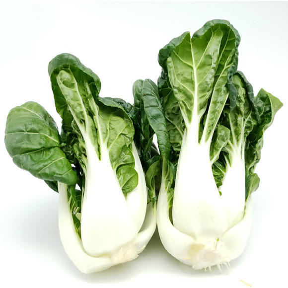 完箱小白菜 White PAK CHOI 4-6KG  XiaoBC