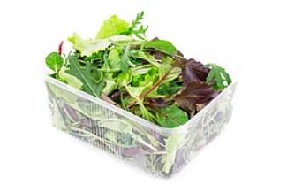 混装整颗沙拉菜 MIX LETTUCE WHOLE BOX  ShaLC