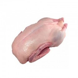 波兰冻鸭 POLISH DUCK 6X3.0KG  DongY
