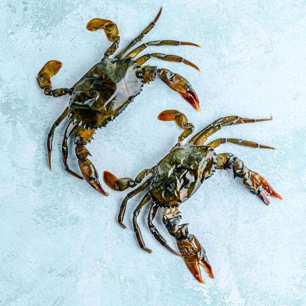 软壳蟹SOFT CRAB 10 pcs RuanKX