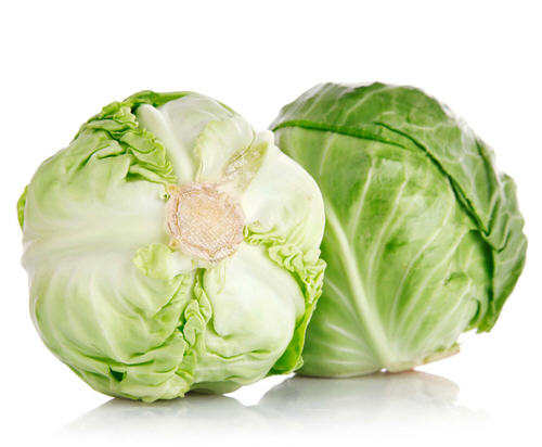 大包紅椰菜 RED Cabbage YEC