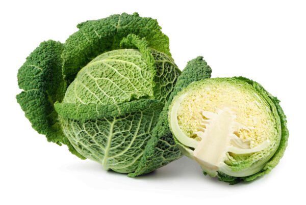 椰菜 Savory  Cabbage  YC