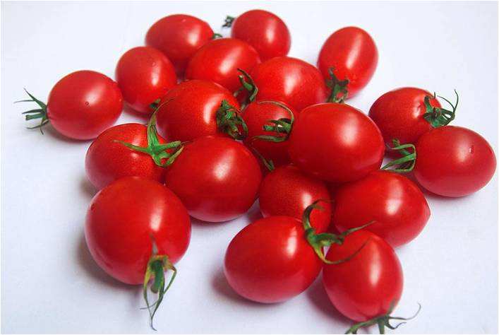 分盒包装整箱小番茄 Cherry Tomato 9x250g  FanQ