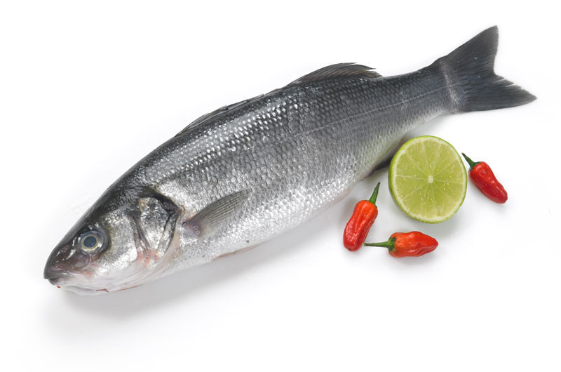 【大条鲜鲈鱼】 SEABASS FRESH 【6/800G/每条】【6KG/箱】 LuY