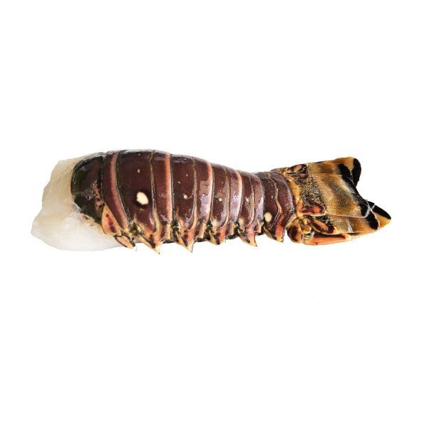 800以上圣诞礼物christmas gift单条龙虾尾 ROCK LOBSTER TAILS 1PS 0.15-0.19KG LongXW //