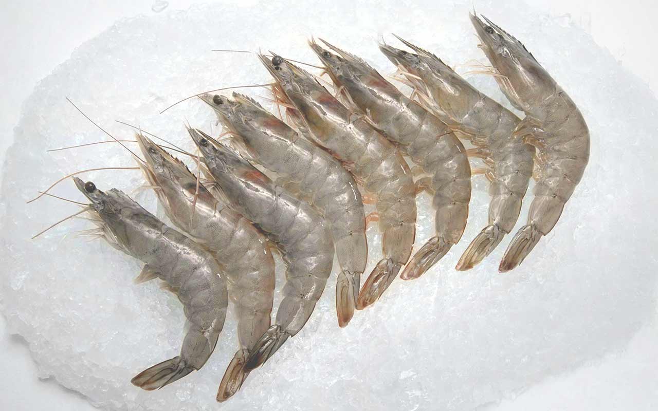 有头南美虾 40/50 H/O ECUADOR WONDER【2KG/盒】【6盒/箱】DongX