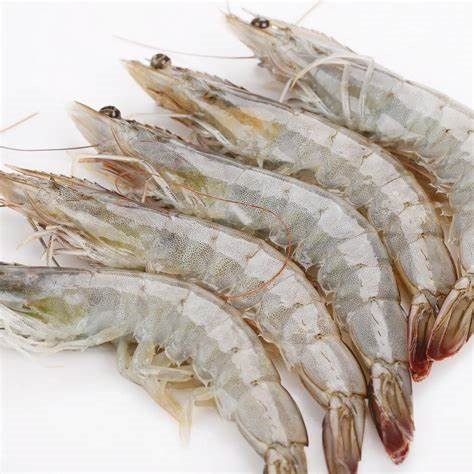 【有壳南美大虾】 31/35 FRESCAMAR VANNAMEI PRAWNS 6X1.8KG net  DongX