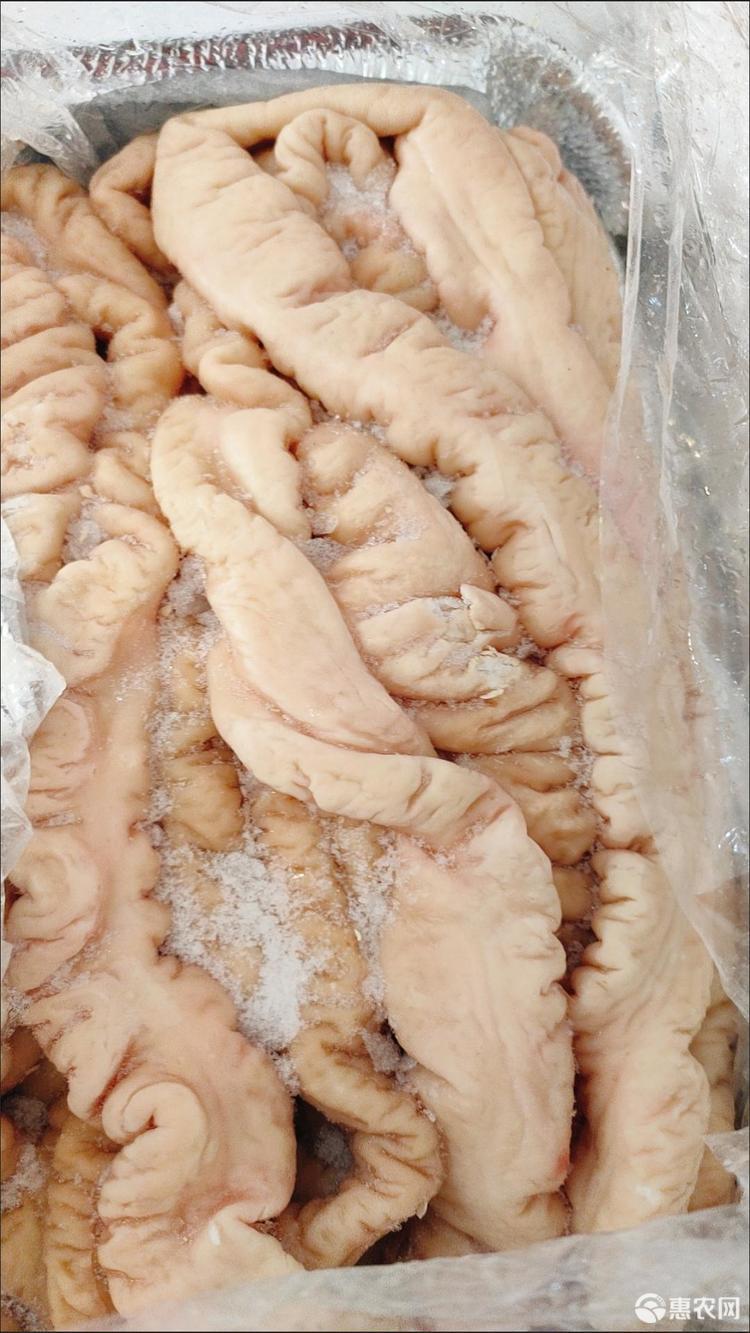 【猪大肠】 FROZEN PIG FAT END 【单价/KG/10KG/16KG/箱】 ZhuDC