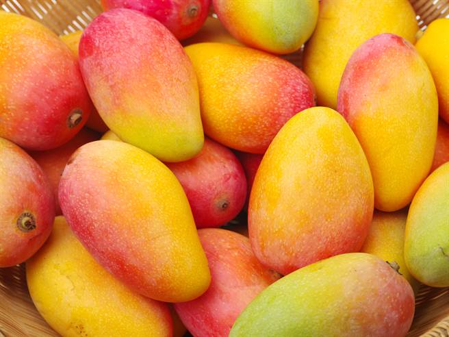 芒果 MANGO 6 S ManG