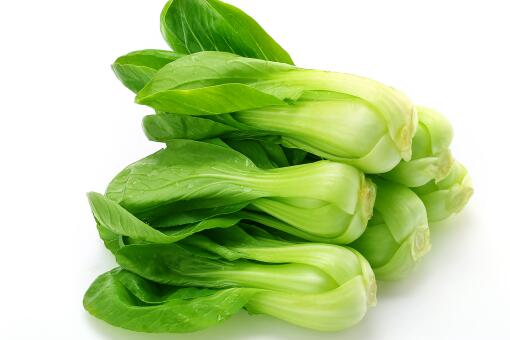 散装青白菜 Retail GREEN PAK CHOI (Euro)-KG  QingBC