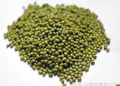 散包绿豆 Mun Bean Whole 1x 454g /pk LvD