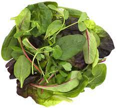 沙拉叶 BABY MIX LEAF 5500G  shaLY