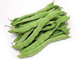 一公斤长大豆角 Long  fine bean kg  DouJ XXX